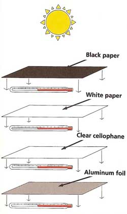 Why does black absorb heat or get hot?