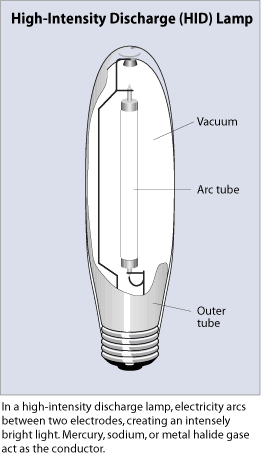 high-pressure discharge lamp