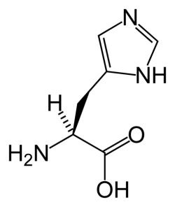 histidine