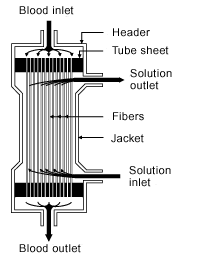 hollow fiber dialyzer
