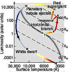 Location of the horizontal branch on the H-R diagram.