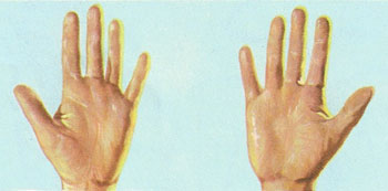 human hands