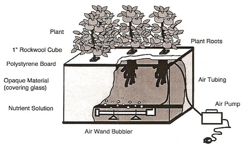 homemade hydroponics system