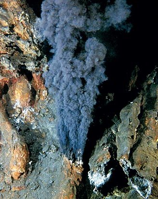 hydrothermal vent