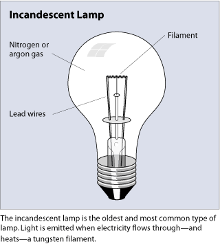 an incandescent lamp. The standard-shaped bulb, narrow at one end and wider at the other, has lead wires running vertically from the base into the lamp. The wires are connected by a narrow strip called a filament. Inside the bulb is nitrogen or argon gas