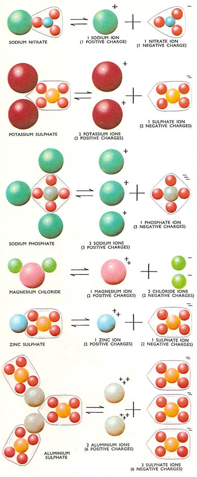 Some compounds and their corresponding ions