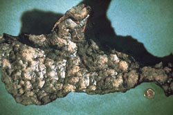 stony-iron meteorite