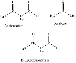 ketone bodies