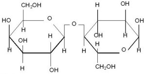 lactose molecule