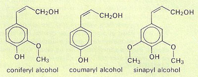 Lignin is a complex polymer formed by condensation of precursors such as coniferyl, coumaryl, and sinapyl alcohols