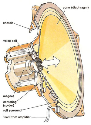 loudspeaker