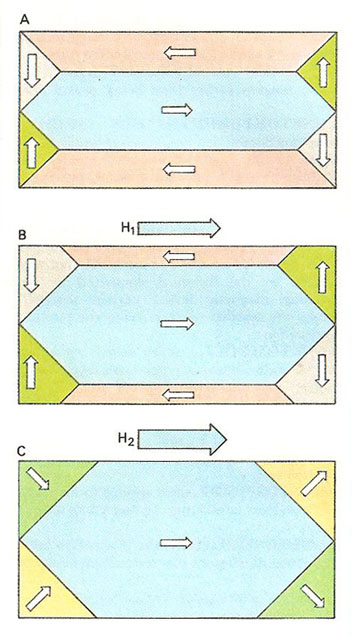 magnetic domains