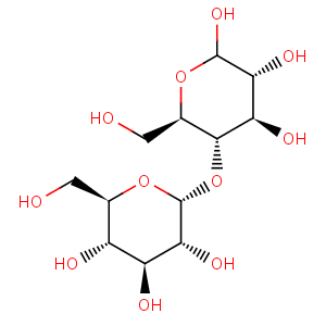 maltose