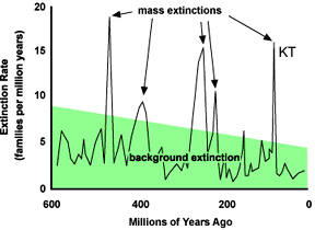 mass extinctions