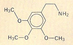 mescaline molecule