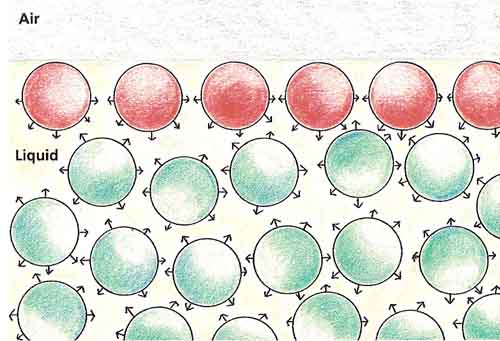 molecules at a liquid's surface