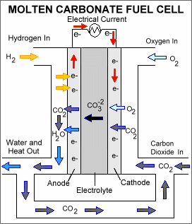 molten carbonate fuel cell