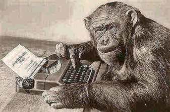 chimp typing