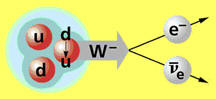 neutron decay