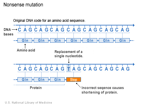 nonsense mutation