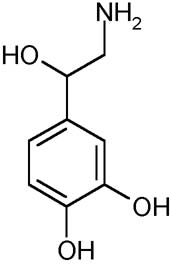 noradrenaline