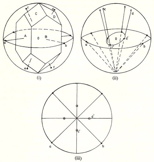 representation of the distribution and orientation of crystal faces