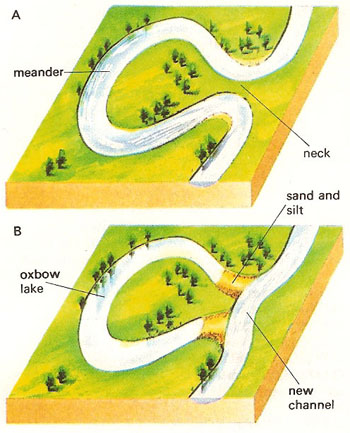 oxbow lake