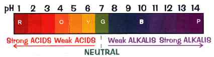 pH scale