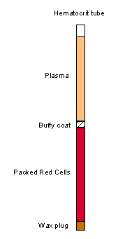 packed cell volume