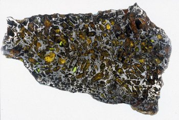 pallasite