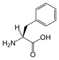 phenylalanine