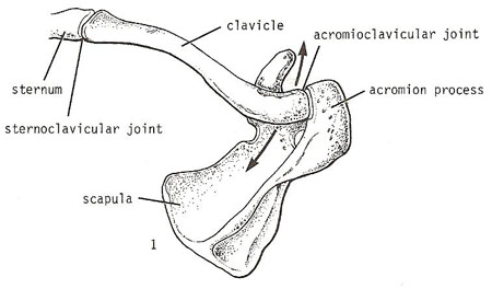 plane joint