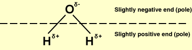 water molecule, showing polar nature