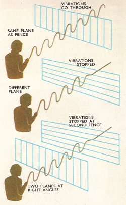 polarization demonstration