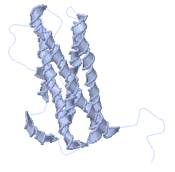 prolactin