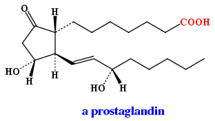 prostaglandin