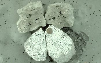 pumice