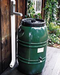 rain barrel