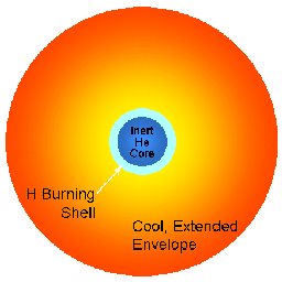 general structure of a red giant