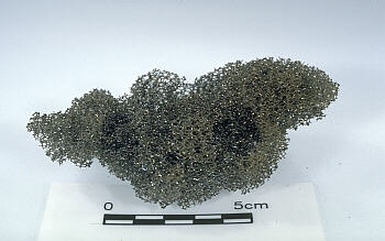 reticulite