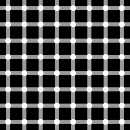 scintillating grid illusion