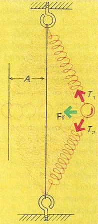 simple harmonic motion