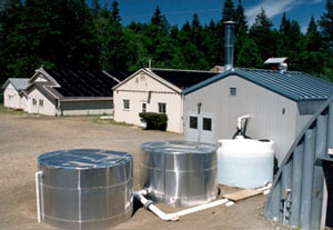 Solar energy in the aguacultural industry (Rosewall Creek). Photo: Natural Resources Canada