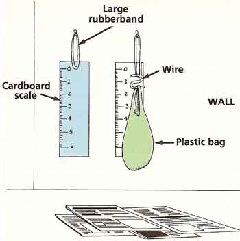 Practical Class - Extension of an Elastic Band