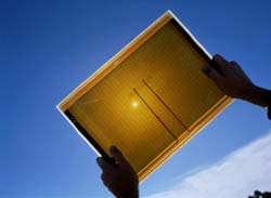 thin-film solar cell