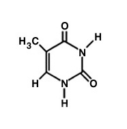 Thymine - Flashcard