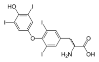 thyroxine