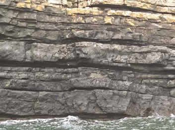 turbidites