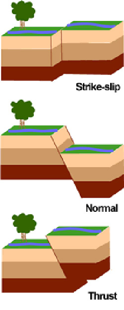 types of fault
