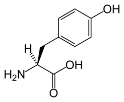 tyrosine